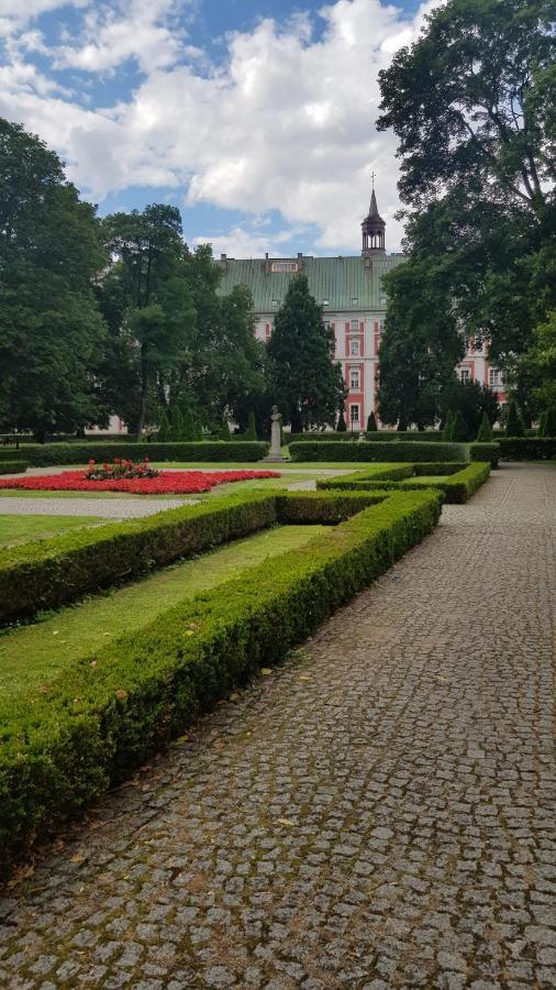 Chopin Park Lux Apartment, Self Check-In 24H, Free Parking, Air-Conditioning Poznań Exterior foto